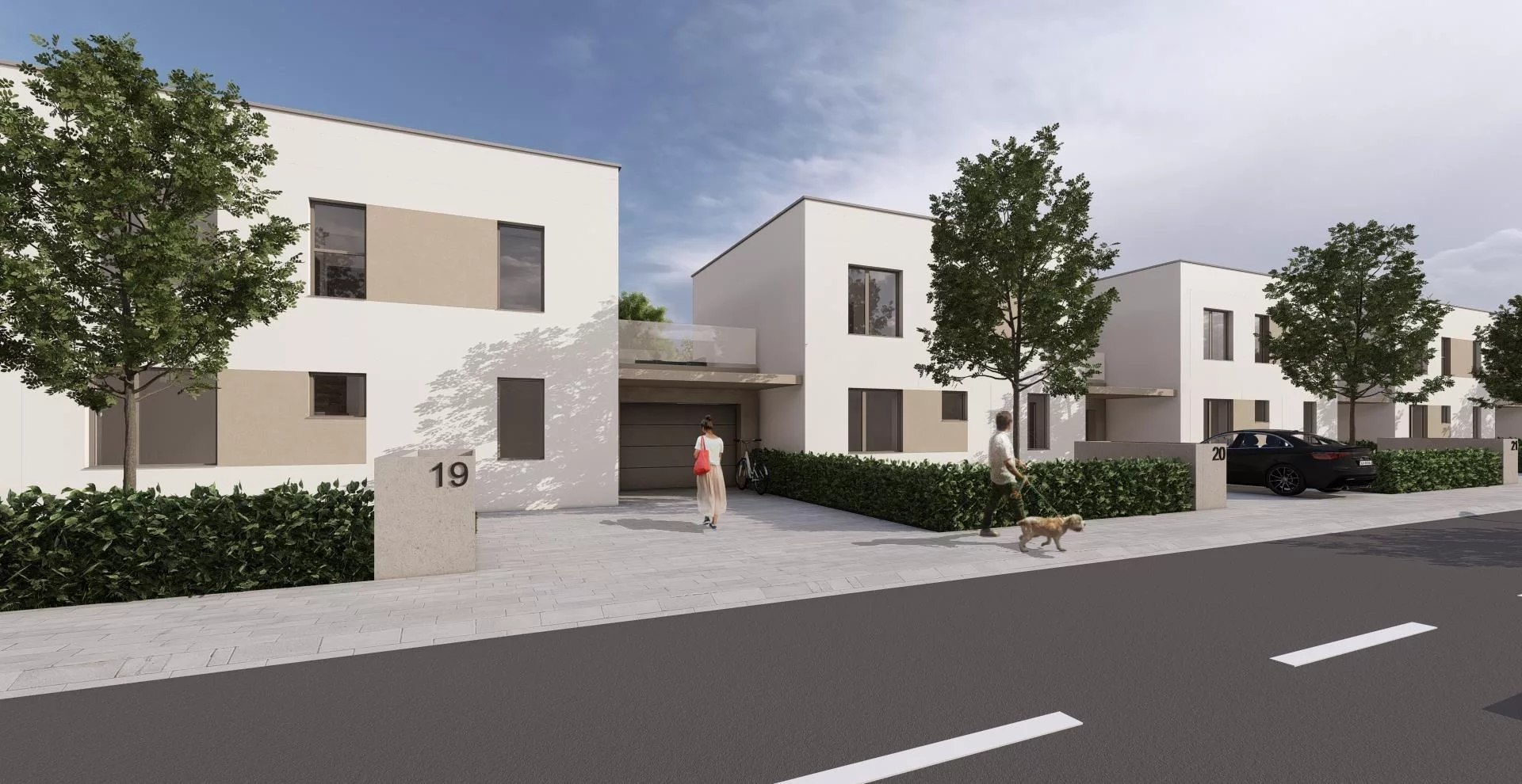 RD vizualizácia _ ulica